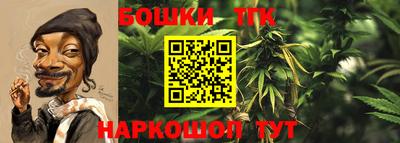 гидропоника Гудермес